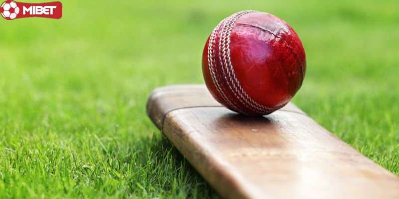 Luật chơi cá cược Cricket tại Mibet